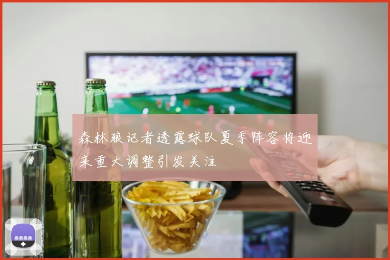 森林狼记者透露球队夏季阵容将迎来重大调整引发关注
